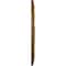 Ekena Millwork Bellona Ceiling Medallion (Fits Canopies up to 3 5/8"), 23 5/8"OD x 3 5/8"ID x 1 1/8"P, Smokey Topaz CM23BESTF - alternate 2
